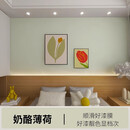 非影内墙油漆绿色乳胶漆奶酪薄荷波音飞机牛油果绿墙漆涂料室内家用 奶酪薄荷