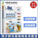2024新书 西沙群岛珊瑚礁鱼类图谱 王腾 刘永 李纯厚 西沙群岛珊瑚礁海产鱼类图集 中国农业出版社 9787109322523