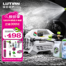 绿田（LUTIAN）高压洗车机大功率感应清洗机水泵洗车神器220v高压水枪雪豹P4PRO