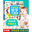 0-6岁幼小衔接手指点读新语音充电款智益智力专用数学英语水果