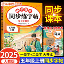 斗半匠 五年级上册字帖 五年级语文同步练字帖 小学生练字帖每日一练 写好中国字 硬笔钢笔字帖生字笔画笔顺练习