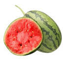 吊秧小西瓜 约1.5kg