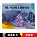 【4周达】Paxinos and Franklin's the Mouse Brain in Stereotaxic Coordinates (5th edition)