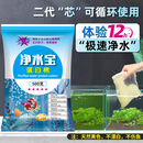 坤宁王蛋白棉鱼缸专用净水鱼缸过滤棉污力丸去黄除臭过滤材料