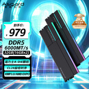 阿斯加特（Asgard）32GB(16GBx2) DDR5 6000 台式机内存条 女武神·瓦尔基里II代 RGB灯条 海力士A-die CL28 极夜黑