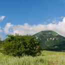 海拓山谷两日活动