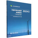 中国可再生能源发展报告2024年度