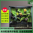 积水凤梨桌面绿植生态雨林缸微景观森林喷淋系统全套植物造景成品 50×35×50凤梨园成品 +全套设备