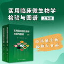 实用临床微生物学检验与图谱（上下册）