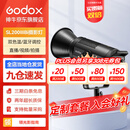 神牛（Godox）补光灯sl200biw双色温摄影常亮灯直播补光灯视频直播补光灯直播人像拍照美颜柔光灯影视灯 SL200BI单灯 官方标配