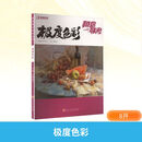 极度教学系列丛书极度色彩