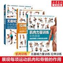 【3册】肌肉力量训练图谱+拉伸训练彩色图谱+无器械力量训练彩色图谱 运动健身健美训练书籍  新华书店正版包邮 【3册】拉伸训练+肌肉力量训练+无器械力量训练