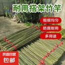 竹竿菜园搭架豆角黄瓜番茄爬藤架园艺篱笆围栏旗杆葡萄架批发 20根【精选竹竿】 1.4-1.6厘米粗2米长