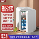 SAST迷你小冰箱mini冷冻冷藏车载家用宿舍母乳办公室学生小型冰柜 爵士白标配款 家用 8L