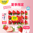 怡颗莓Driscoll's 云南奶油素颜草莓 1盒装 约280g/盒 生鲜水果