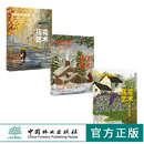 压花艺术 初级中级高级 3本套装 教学花艺 中国林业出版社 朱少珊 默认规格
