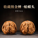 开背蛤蟆头文玩核桃延庆老树手把玩金蟾收藏级精品网红款 [收藏级]金蟾·蛤蟆头35mm