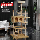 珑小宠猫爬架猫窝加粗大型猫树一体太空舱猫架子小户型不占地麻绳猫玩具 145cm 5层 【多窝款加厚板】
