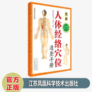 现货 人体经络穴位速查手册 北京中医药大学图解 人体穴位图中医针灸按摩 中国医药科技出版社
