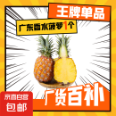 广东香水菠萝 徐闻菠萝 新鲜水果非凤梨现采现摘整箱包邮 【1个装】净重1.3斤-1.5斤