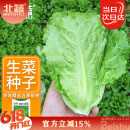 北蔬 生菜种子苗四季种生吃耐热耐抽薹菜籽 速翠1号生菜种子约5000粒