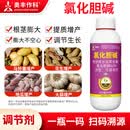 奥潍奥丰60%氯化胆碱根茎膨大提质增产正品农用植物生长调节剂农药 500g*10瓶