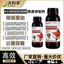 根腐抑制剂预防猝倒烂根茎基腐死棵僵苗快速壮根净化土壤 沃利丰根腐抑制剂500克*1瓶