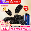 同仁堂品牌北京同仁堂黑桑葚干桑椹干500g即食免洗桑葚水果泡水养生茶