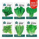 北蔬 蔬菜种子种苗大全生菜香菜菠菜夏季阳台菜籽 6种叶菜类蔬菜种子