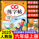 六年级上册下册同步字帖人教版2024小学六年级下册语文同步练字帖写字课课练6年级上下课本生字同步练习上学期钢笔习字帖部编版练字本 【六上】语文同步练字帖 小学六年级