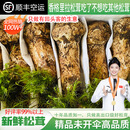 相遇红颜香格里拉松茸菌未开伞新鲜松茸鲜菌菇空运快至24小时达团购送礼 出口标准未开伞4-6cm净重510g