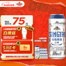 青岛啤酒（TsingTao）精酿白啤 全麦酿造 11度 500ml*12听 整箱装 端午节送礼