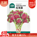 北蔬红苋菜种子种苗圆叶汉菜种子四季蔬菜种籽 北蔬红苋菜种子4000粒