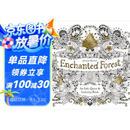 Enchanted Forest 英文原版 魔法森林 减压绘画填色涂鸦书 秘密花园姊妹书