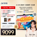科大讯飞人工智能旗舰学习机T30 Pro 14.7英寸超大护眼屏 中高考同源技术 星火+DeepSeek双AI模型12+512G 