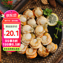 初鲜大号冷冻带黄扇贝肉400g30-50颗烧烤火锅食材 海鲜贝类端午聚餐