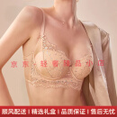 mybodynoky轻奢品牌女士内衣女聚拢小胸显大薄款调整型收副乳性感文胸女 肤色 70B 32