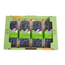【整箱】9分甜带枝串蓝莓250g*4盒(15mm)