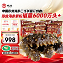 晓芹大连即食海参3斤35-50只 固形物75%  辽刺参 海鲜水产 中秋礼品