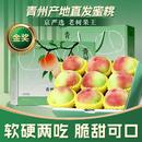 秦悦仙果鲜【京严选-多地隔日达】山东青州蜜桃新鲜毛桃子软硬两吃孕妇水果 5斤装【京严选】单果70-100g+净重4.5