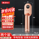 强力（QLG）铜鼻子DT-95平方 铜接线端子线鼻子酸洗堵油铜鼻子国标电缆接头【2只/包】