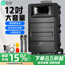 索爱（soaiy）12吋广场舞音响大功率便携式户外重低音蓝牙k歌专用大音量移动拉杆音箱室外演出设备双话筒T20