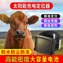 甸逊追踪牛羊定位器户外定位北斗定位宠物升级猫定位 牛羊定位器