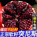 新鲜现摘正宗会理软籽石榴软籽石榴老品种大颗粒爆甜石榴整箱顺丰 9斤丨顺丰包邮 商超款丨单果7-9两