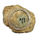 旭萃XC4709—1.5公斤莫西沙开窗毛料 缅甸翡翠原石玉石毛料