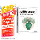 大模型轻量化：模型压缩与训练加速
