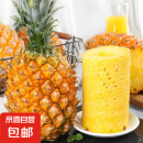 广东徐闻香水菠萝新鲜水果生鲜热带孕妇水果整箱包邮 1个装  单果650g起