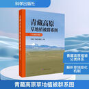 青藏高原草地植被群系图(1:500 000) 科学出版社 王艳芬,于贵瑞,傅伯杰 编 新华正版书籍包邮 图书