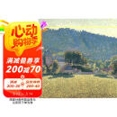 色彩风景/千年回望西方大师名作