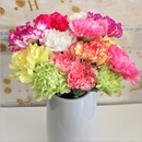 鲜花云南直发康乃馨基地同城速递配送水养花束昆明生日礼物 单头康乃馨随机多色混10枝